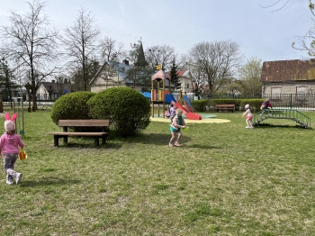 IMG_3156.jpeg