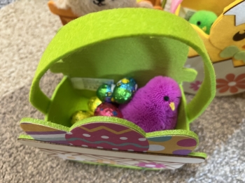 IMG_3192.jpeg