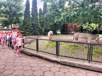 IMG20250605104426