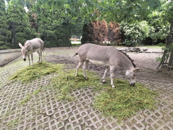 IMG20250605104433