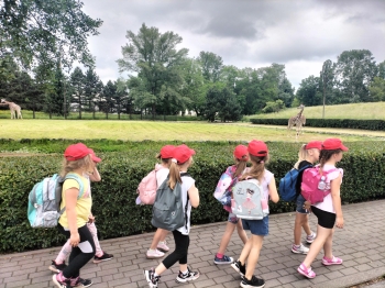 IMG20250605110339