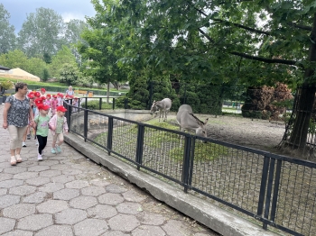 IMG_4408.jpeg