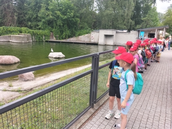 IMG20250605101855