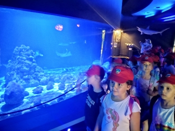 IMG20250605105035