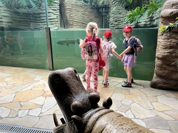 IMG_4425.jpeg