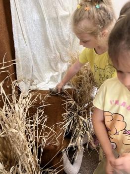 IMG_4569.jpeg