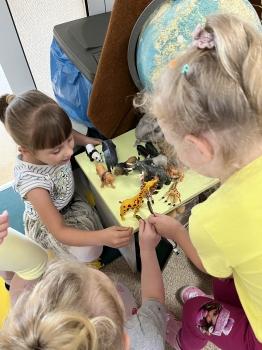 IMG_4628.jpeg