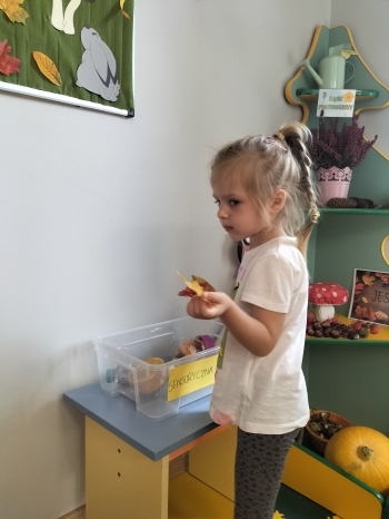 IMG20250923094355