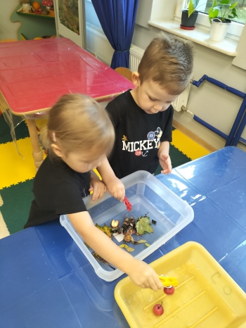 IMG20250925081259