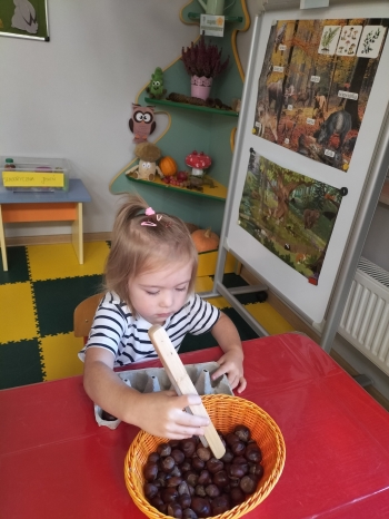 IMG20250926081701
