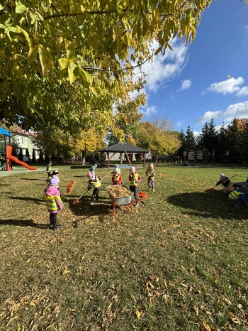 04f328f6-c7dc-46fe-b310-57bd1113d1a2