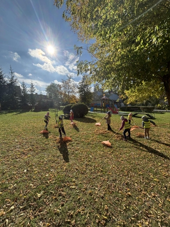 2c2feee2-7f11-46be-b0c1-5e635666eb10