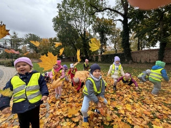 74ea5e2a-5fbb-4b8d-a0f9-ed8e634f8ecc