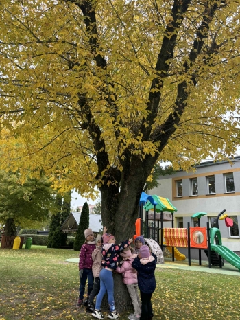 0d09c691-79b6-4a15-8cc5-7af8f7525651