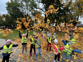 c56b6e98-7f55-4f43-8987-f8bdf47f1903