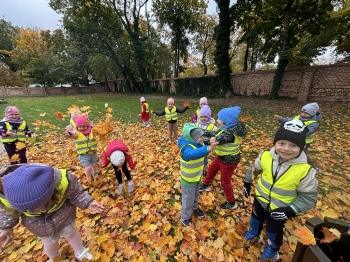 ecc5b1cd-22e7-4ca1-974e-6d4f1ff1bc98