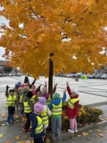 083577ec-4f5c-4807-8e0a-96ca2efa7753