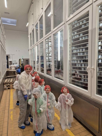 6ff2d1c2-bef5-4ffe-bbbc-4b6ad9b6b71a