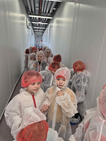 31a1d70f-5370-4557-ba9f-29caf8ad7d3d