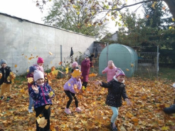 3b8f798b-ec8e-4501-857e-e0ad85fb740c