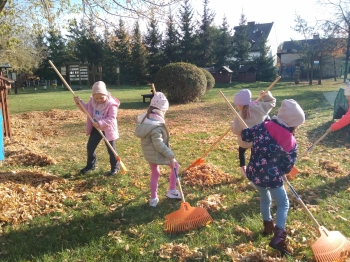 81181c71-3bbc-4282-9cb8-d42cb09da2e5