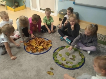 84af5fdc-984c-4d79-bd11-56166f15b5de