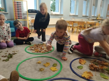 ff5665dd-c9d4-43bb-b0fd-287f946954ed