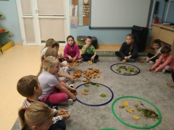 925d01bb-d961-4239-a562-6c19b5dfe513