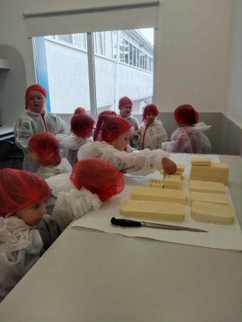 2d18bb4a-56de-4c26-b91d-d8271cee0380