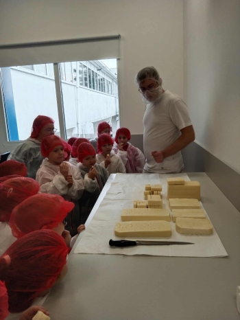 6e36eb56-1e03-49ba-b0e2-1899c37e2584