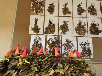 8b8e0aaf-fd99-4658-9b06-d2aa63daf72d