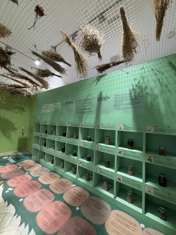 939ea75b-3c66-4d3f-8335-792ffad8a33e