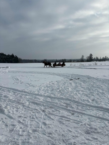 1fecee3e-2556-4675-b495-0b3dda73ec6d