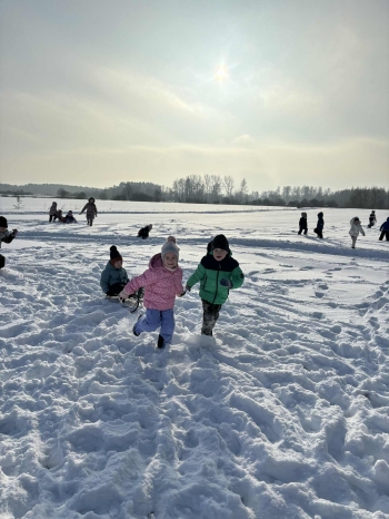 2984161b-0287-4e33-981e-99491c0de4de