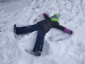 85049445-a52e-46dd-9b94-965e7c95512a