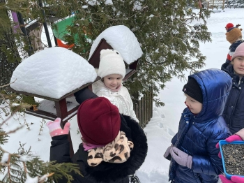 61816c35-57e6-4d99-ac43-ab05325d751b