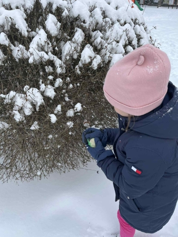 e88a097d-5d7f-48b9-8fda-1cf0872f5f0f