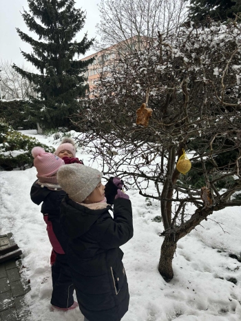 612b775d-d498-4550-b069-27b2bb8a1fd8