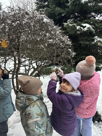 fbda2534-36a8-4687-8a8b-2cb869fa6928