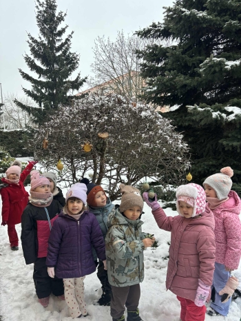 ec1e32dd-fb9d-4267-b06d-9fb3e0680b53