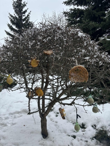 69cd8aeb-64b0-443f-ab23-91226335c6b0