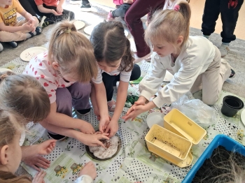 8b2028e5-57c6-4c20-8eba-663163a1e002