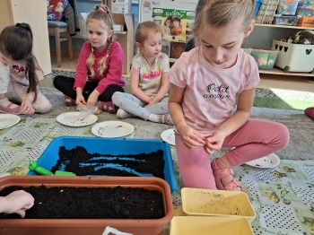 18bc19e6-bdb1-4fb9-b0e4-f551b8a8d493