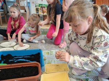 069c2226-d4e5-4c6b-802d-60d957018488