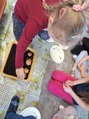 7cecd28e-d025-49f0-96b6-52b9095b1f69