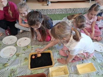 db3a462b-41ce-4b5c-9904-e61d392aff7a