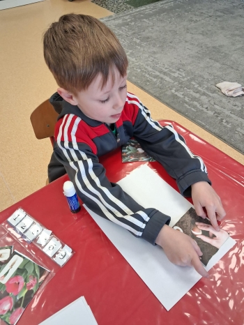 88ad79bb-276d-40da-b542-9feda291206d