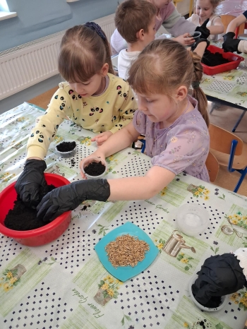 28a9fba4-b909-40fc-be6e-cced6aea019f