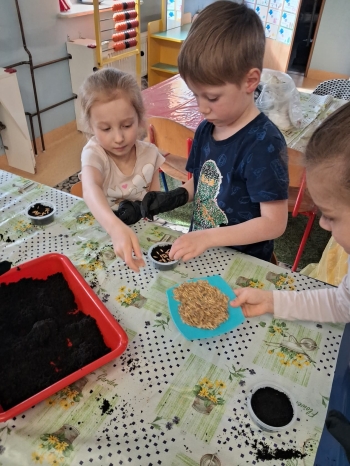 1e6587cf-b42b-4fe4-b6a5-5dc06afc37e3