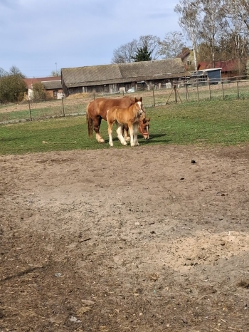 bc572b22-9266-49e7-a59f-20d0f60afc40